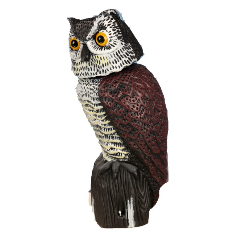 Búho espantapajaros